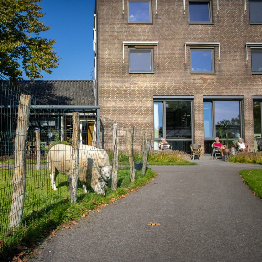 Mantelzorgvrij illustratie